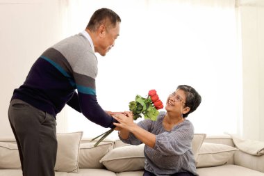 Romantik yaşlı adam oturma odasında oturmuş karısına gül çiçeği veriyor mutlu gülümseyen Asyalı yaşlı, yaşlı, emekli bir çift emeklilik yıldönümünü evde birlikte kutluyor..