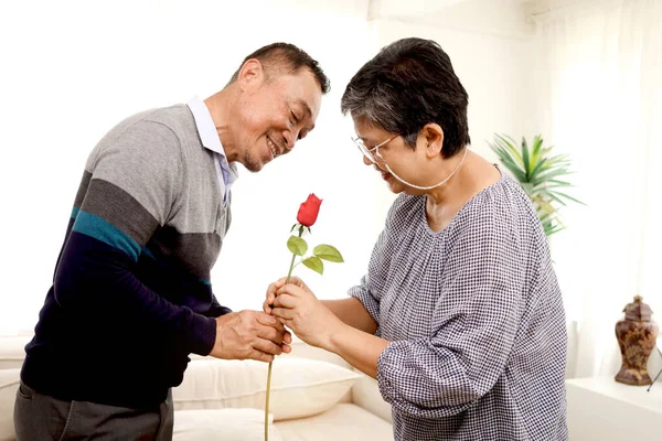 Романтический Пожилой Мужчина Дает Красный Цветок Розы Своей Жене Гостиной — стоковое фото
