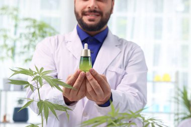 Laboratuvarda marihuana yağı tutan bir bilim adamı, kenevir yaprağıyla deney yapan bir biyokimyacı, eczacı laboratuvarda aromatik kenevir yağı çıkarıyor, alternatif şifalı bitkiler için tıbbi araştırmacı çalışıyor..