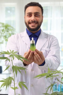 Laboratuvarda marihuana yağı tutan bir bilim adamı, kenevir yaprağıyla deney yapan bir biyokimyacı, eczacı laboratuvarda aromatik kenevir yağı çıkarıyor, alternatif şifalı bitkiler için tıbbi araştırmacı çalışıyor..