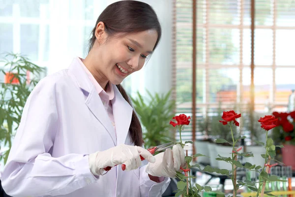 Científico Botánico Bata Laboratorio Sostienen Tijeras Para Cortar Flor Rosa — Foto de Stock