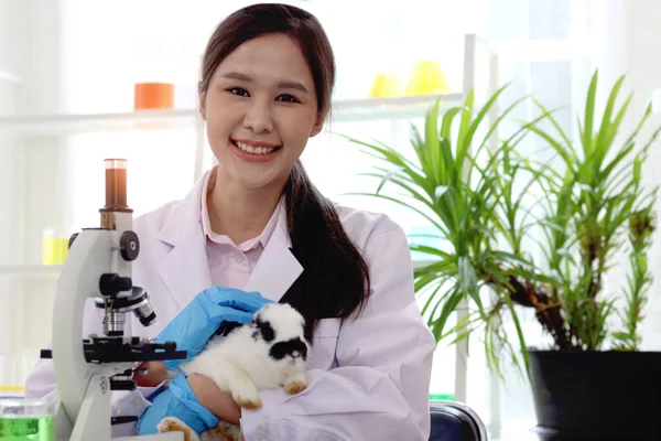 Schöne Asiatische Medizinerin Arbeitet Mit Mikroskop Und Kaninchen Tierarztlabor Forscherin — Stockfoto