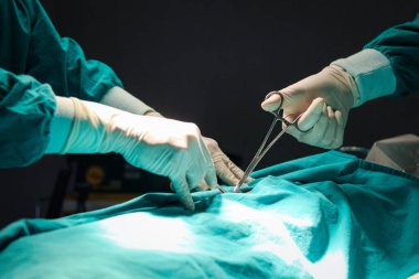 Cerrah doktor hastanede ameliyat yapmak için cerrahi ekipman kullanıyor. Profesyonel cerrahi ekip hasta ameliyat ediyor, hastalara yardım ediyor. Sağlık ve Sağlık Hizmetleri.