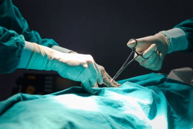 Cerrah doktor hastanede ameliyat yapmak için cerrahi ekipman kullanıyor. Profesyonel cerrahi ekip hasta ameliyat ediyor, hastalara yardım ediyor. Sağlık ve Sağlık Hizmetleri.