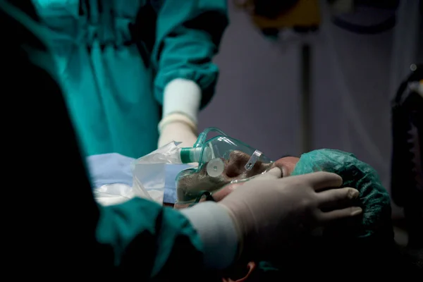 手術用ベッドに横たわる麻酔マスクまたは呼吸用酸素呼吸器具を有する患者 患者は 病院の手術室で外科医によって治療のために準備される — ストック写真