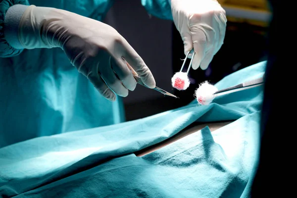 Médico Cirujano Que Sostiene Cirugía Usando Equipo Quirúrgico Para Hacer —  Fotos de Stock