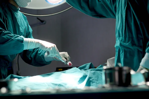 Chirurg Arzt Mit Chirurgischem Gerät Für Operationen Operationssaal Des Krankenhauses — Stockfoto