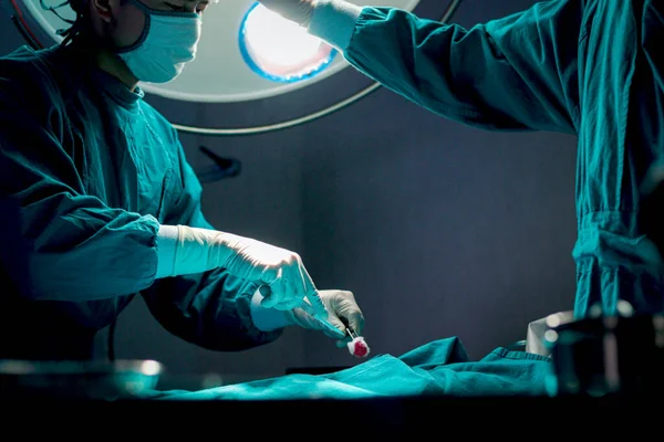 外科医生在医院手术室里使用外科设备进行外科手术 专业的外科团队操作外科病人 帮助病人 保健和医疗 — 图库照片