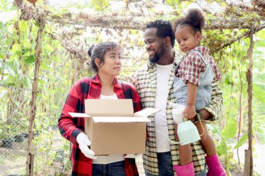 Kırsaldaki sebze bahçesinde mutlu bir aile, Asyalı anne, Afrikalı baba ve kız çiftlikte birlikte çalışıyor, baba kıvırcık saçlı kızı tutuyor ve anne organik ürün almak için bir kutu tutuyor..