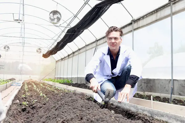 Botanist scientist man in white lab coat working on experimental plant plots, male biological researcher shoveling, doing science experiment with plant in greenhouses. Biology and Agricultural Science