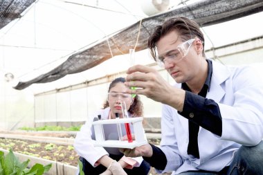 Botanikçi kadın ve beyaz önlüklü adam deneysel bitki sahaları üzerinde birlikte çalışıyorlar. Biyolojik araştırmacılar kimyasal test tüpü tutuyor, seralarda bitki ile bilim deneyi yapıyorlar.