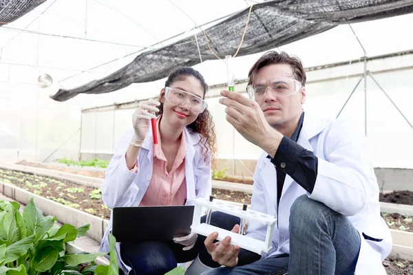 Botanist scientist woman and man in white lab coat work together on experimental plant plots, biological researchers hold chemical test tube, do science experiment with plant in greenhouses laboratory