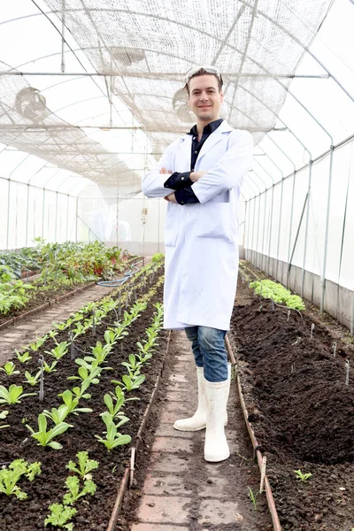 Botanist scientist man in lab coat working on experimental plant plots, male biological researcher standing with arms crossed, doing science experiment with plant in greenhouses. Agricultural Science