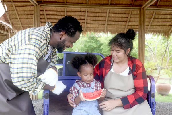 Happy farmer family work together in agriculture, mother and father gardener spend time with daughter kid, African Asian mixed race curly hair girl enjoy eating watermelon product from their own farm.
