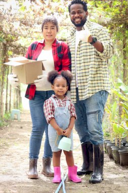 Kırsal kesimdeki sebze bahçesinde mutlu bir aile, Asyalı bir anne, Afrikalı bir baba ve kıvırcık saçlı bir kız çocuğu birlikte çiftlikte çalışıyorlar. Baba başparmağını verir, anne organik ürün almak için kutuyu tutar.