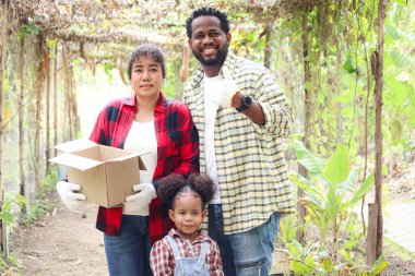 Kırsal kesimdeki sebze bahçesinde mutlu bir aile, Asyalı bir anne, Afrikalı bir baba ve kıvırcık saçlı bir kız çocuğu birlikte çiftlikte çalışıyorlar. Baba başparmağını verir, anne organik ürün almak için kutuyu tutar.