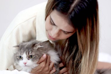 Şirin beyaz İran kedisi, sahibinin kucak ellerinde rahatça oturuyor, mutlu tüylü evcil hayvan, sahibinin sevgisine nazikçe dokunuyor. Sevimli, uzun saçlı kedicik. Kadın sahibi evde dinleniyor..