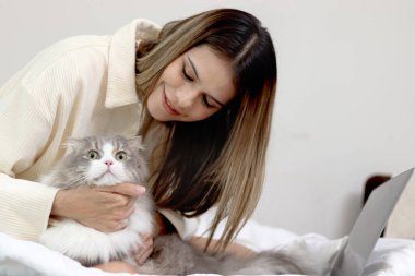 Şirin beyaz İran kedisi, sahibinin kucak ellerinde rahatça oturuyor, mutlu tüylü evcil hayvan, sahibinin sevgisine nazikçe dokunuyor. Uzun saçlı kedicik ve ev sahibi kadın evde dinleniyor.