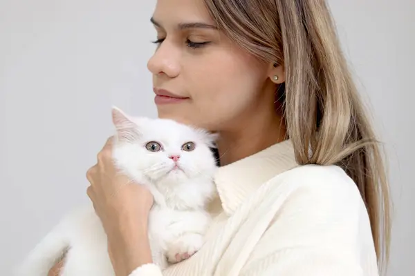 Cute white Persian cat in owner lap hand, happy fluffy pet comfortably being hugged with gently and love feeling by happy owner. Side view of young happy woman holding adorable long hair kitty at home
