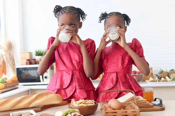 African twin girl sister with curly hair braid African hairstyle drinking fresh milk in kitchen. Happy smiling kid sibling spend time together. Cute children grow up with protein calcium rich food.