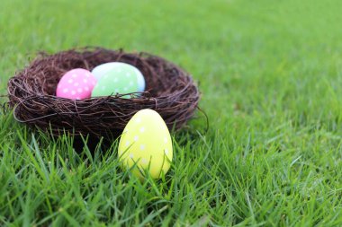 Yaban çayır bahçesindeki yeşil çimlerin üzerinde renkli Paskalya yumurtaları. Paskalya Günü için selamlar ve hediyeler. Mutlu bahar tatili kutlamaları.