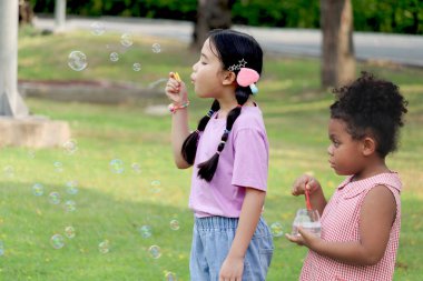 Kıvırcık saçlı mutlu Asyalı kız Afrikalı arkadaşı yeşil doğa bahçesinde sabun köpüğü üflüyor. Çocuklar çayırda birlikte vakit geçiriyorlar. Tatlı çocuklar yaz parkında baloncuklarla eğleniyor..