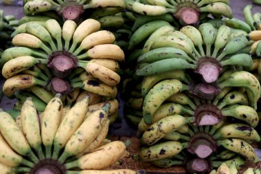 A lots of yellow and green bananas on floor after the harvest. Fresh bananas from agriculture farm are taken to the market for sale. clipart