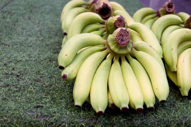 Hasattan sonra bir sürü sarı yeşil Cavendish muzu. Taze muzlar tarım çiftliğinden pazara satılığa çıkarıldı.