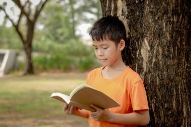 Bahçede kitap okuyan Asyalı okul çocuğunun portresi. Öğrenci çocuk parkta ağacın altında ders çalışıyor. Öğrenci çocuk tek başına öğrenmek için kitap okuyor. Çocuk, eğitim ve doğa..