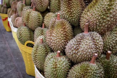 Olgun Durian sepeti. Birçok Durian Tayland yerel pazarında satılıyor. Tropik tatlı lezzetli meyvelerin güçlü bir kokusu vardır..