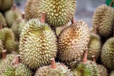 Birçok olgun durian Tayland yerel pazarında satılıyor. Tropik tatlı lezzetli meyvelerin güçlü bir kokusu vardır..
