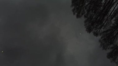 Suyun içindeki bulutlarla sonbahar gökyüzünün yansıması. Göletteki yansıma mükemmel görünüyor..