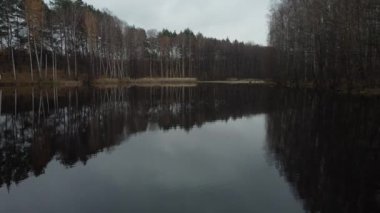 Ağaçlar ve çam ağaçlarıyla çevrili güzel bir orman gölü. Sonbaharın sonlarına doğru, suya yansıyan ağaçlar mimiklerini verir..