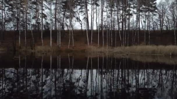 Widok Jeziora Gaju Brzozowego Brzegu Jesienią Drzewa Pięknie Odbijane Nagrania — Wideo stockowe
