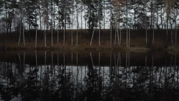 秋天湖中的桦树和松树美丽得令人难以置信 水边几乎是静态无人机画面 — 图库视频影像