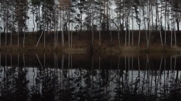 Reflexão Floresta Outono Lago Escuro Imagens Lentas Drones Fundo Uma — Vídeo de Stock