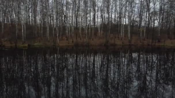 向湖边生长的桦树开枪射击 秋天在水中反射树木的大气拍摄 — 图库视频影像