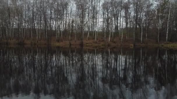 在倒映的桦树之间的秋天湖中 缓慢的无人机镜头 秋末的北方自然美丽而神秘的画面 — 图库视频影像