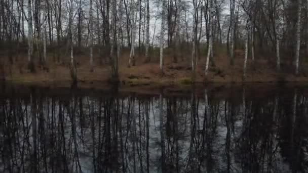 无人机沿着森林覆盖的水库海岸飞行 落叶的树已经掉光了所有的叶子 — 图库视频影像