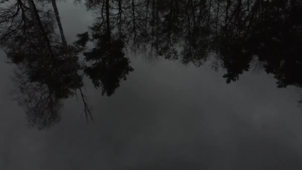 Отражение Хвойных Деревьев Лесном Озере Вечером Беспилотные Снимки Природы Поздней — стоковое видео