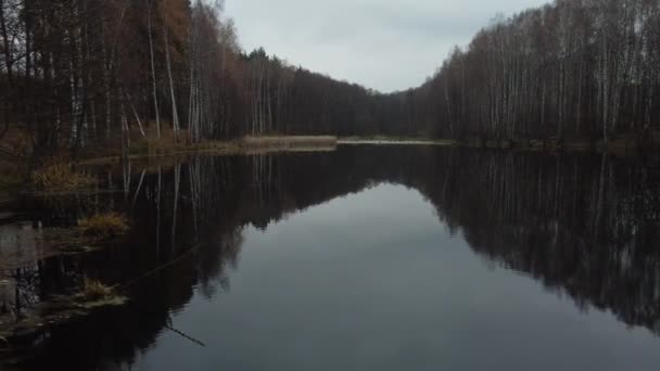 Sonbaharda Ormandaki Küçük Bir Gölün Insansız Hava Aracı Fotoğrafı Yosun — Stok video