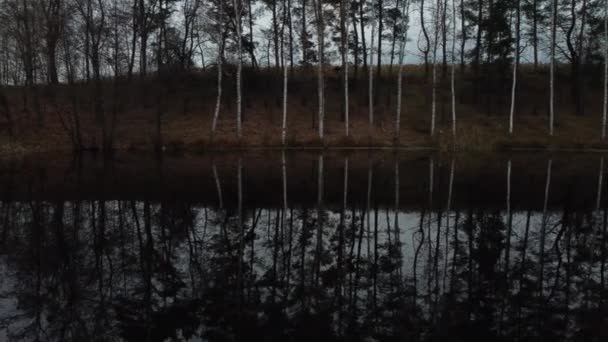 陡峭的岸边长满了树木 紧邻平静的湖面 深秋的阴郁气氛 — 图库视频影像