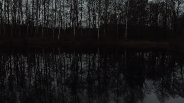 Akşamları Bir Orman Gölünün Kıyısında Dans Eden Ağaçların Yansıması Sonbaharın — Stok video