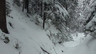 Vadideki dağ yolu karla kaplı fırtınalarla çevrili. İnanılmaz güzel kış dağları ormanları..