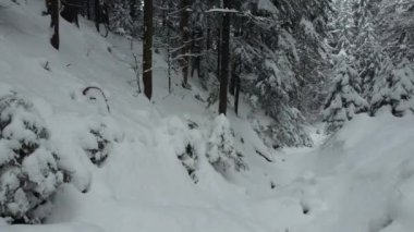 Dağ ormanlarında kar yığınlarının arasında bir drondan ateş etmek. Talweg 'in içindeki yamaçtan aşağı uç..