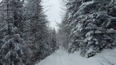 Karlı Karpatlar 'daki İHA izlerinden ateş ediyorlar. Bütün ağaçlar kalın bir kar tabakasıyla kaplıydı..