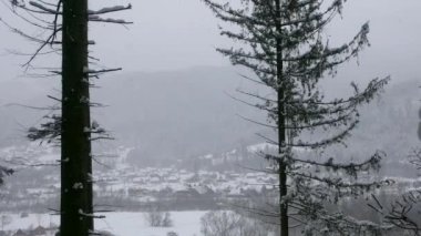 Karlı bir vadide bir dağ köyünün arka planına karşı iki çam ağacı. Alp tipi bir dağ yerleşiminde şiddetli kar yağışı var..