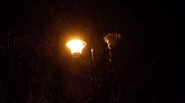 Kar yağışı sırasında karanlık bir parkta gece feneri. Ön planda düşen kar tanelerini bir fenerin arka planında görebilirsiniz..