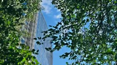 Yeşil ağaçların arka planına karşı büyük cam bir bina. Ön planda yeşillik olan kocaman cam bir ofis binasının çok güzel görüntüleri..