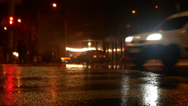 Duża Szeroka Ulica Miasta Deszczu Nocy Samotni Piesi Samochody Widoczne — Wideo stockowe